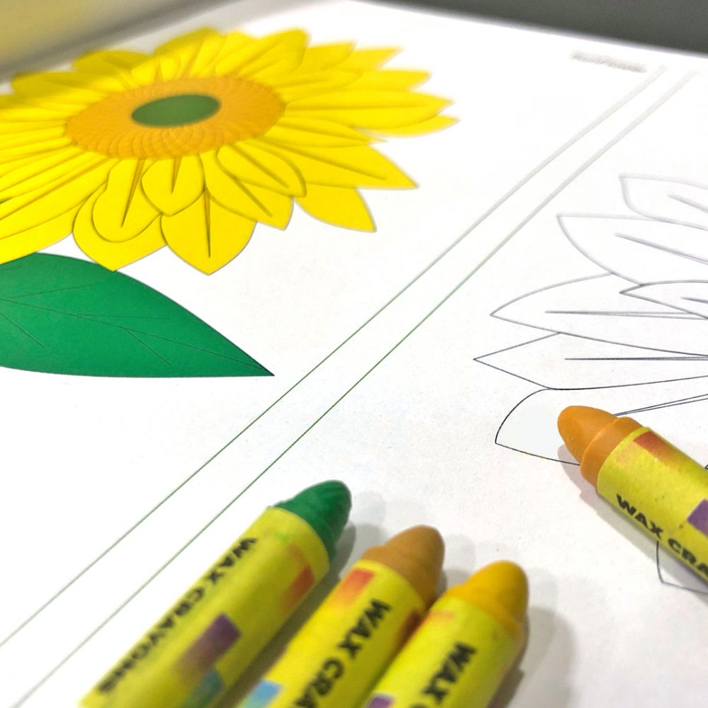 Flower themed colouring book
